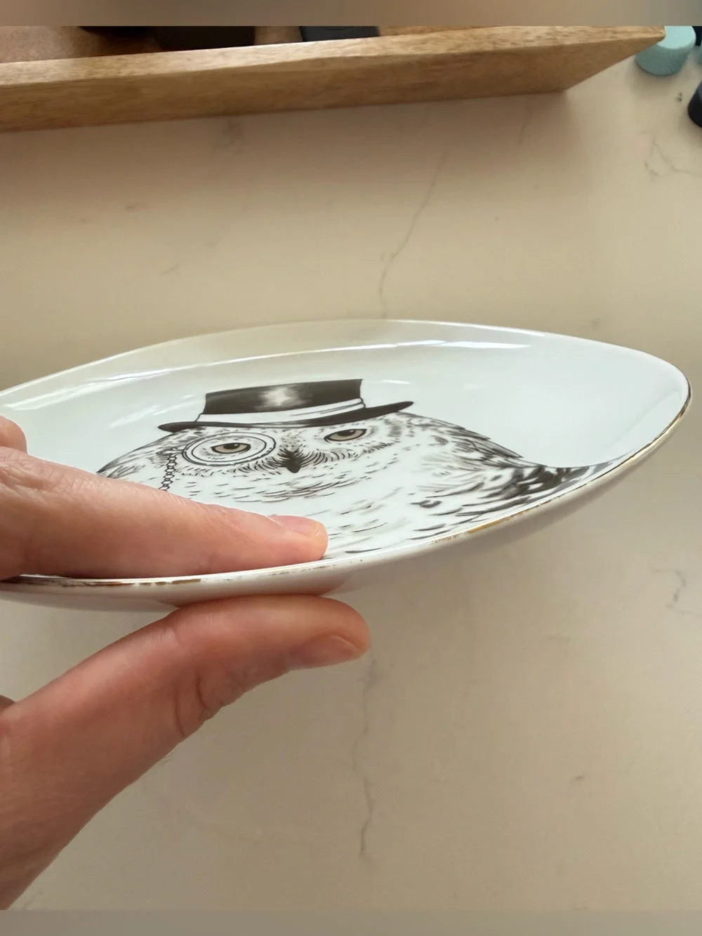 Rachel Koslowski x West Elm Owl Plate